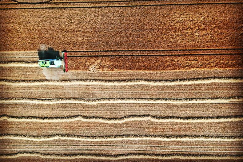 Tight global wheat supplies continue to drive market Tight global wheat supplies continue to drive market