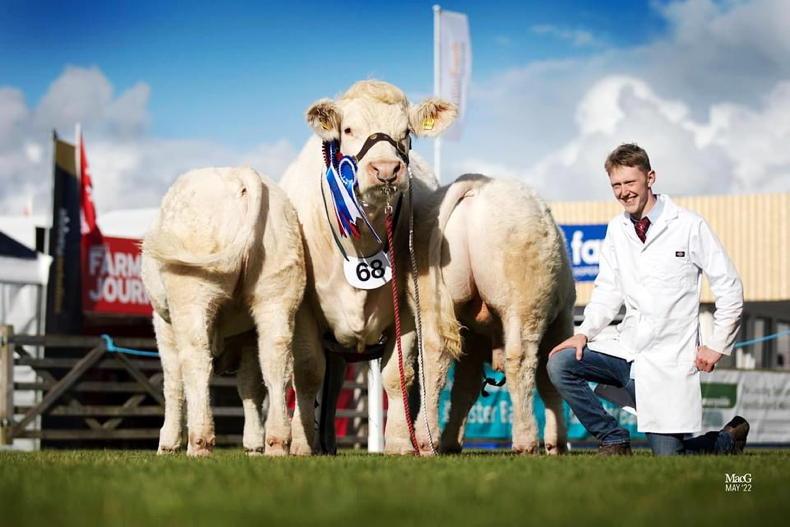 Watch: Day one Balmoral show results Watch: Day one Balmoral show results
