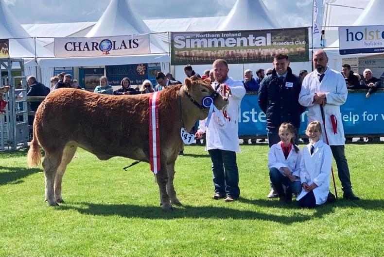 Watch: Day one Balmoral show results Watch: Day one Balmoral show results