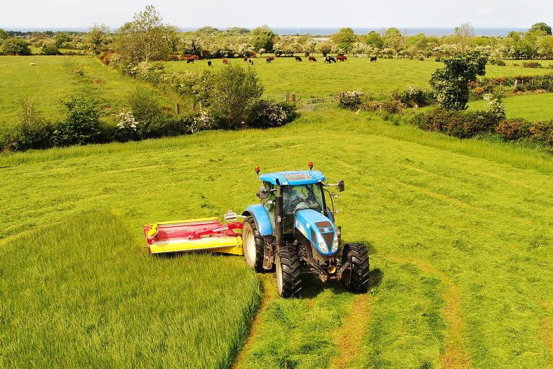 Five tips for taking out surplus grass Five tips for taking out surplus grass