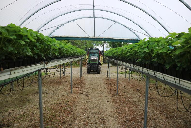 Sweet little Fendt outfit Sweet little Fendt outfit