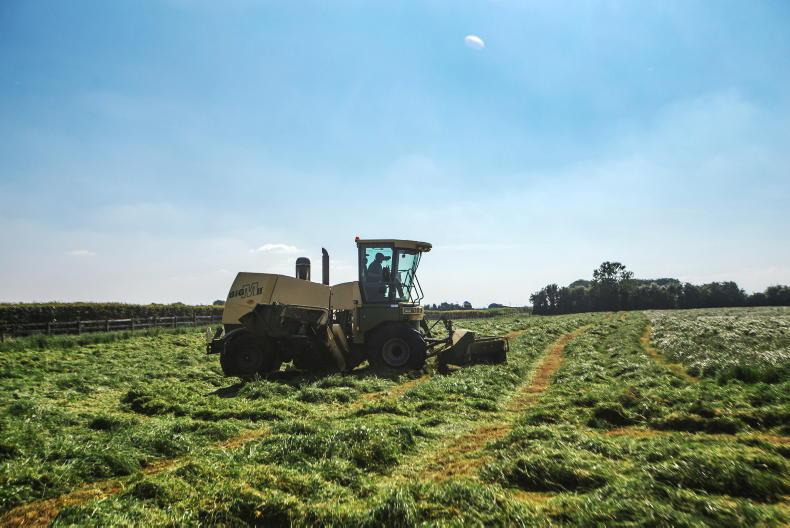 Weekend weather: sunny and dry with highs of 19°C Weekend weather: sunny and dry with highs of 19°C