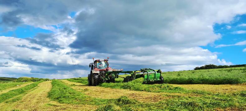 Farmer Writes: breeding, baling and looking to the future Farmer Writes: breeding, baling and looking to the future