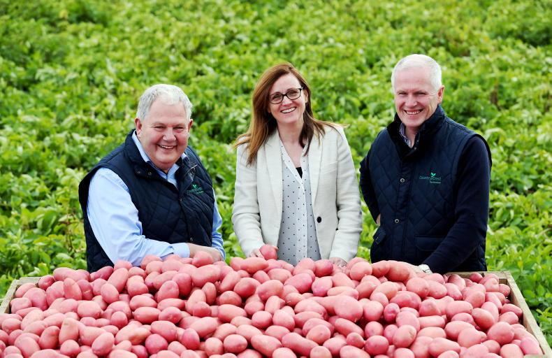 Farm with highest direct payment sees 23% increase Farm with highest direct payment sees 23% increase