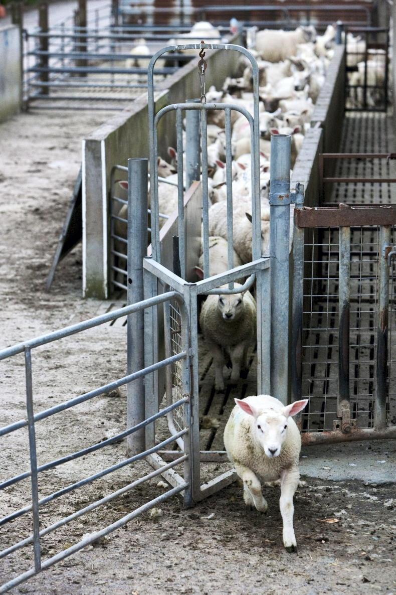 Summer health problems and solutions Summer health problems and solutions