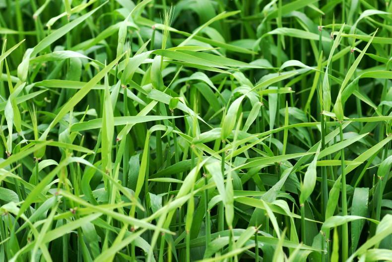 Tillage Management: plenty of work to be done Tillage Management: plenty of work to be done