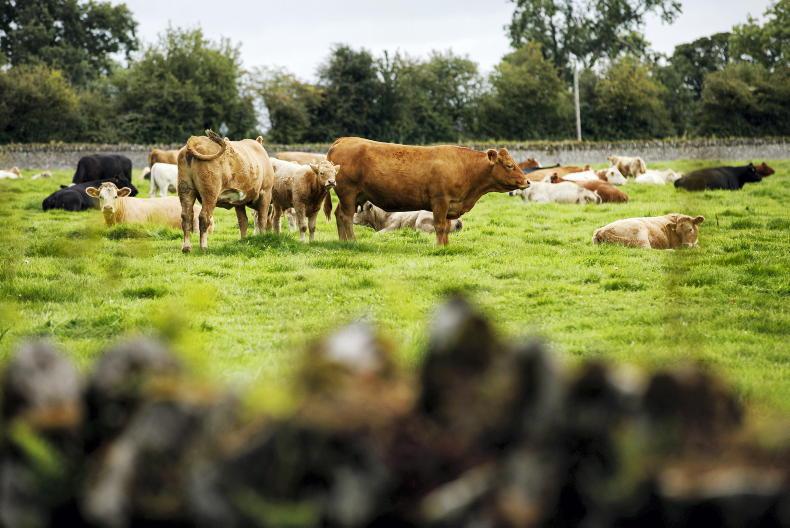 €7.5m in BEAM payments still to be clawed back €7.5m in BEAM payments still to be clawed back