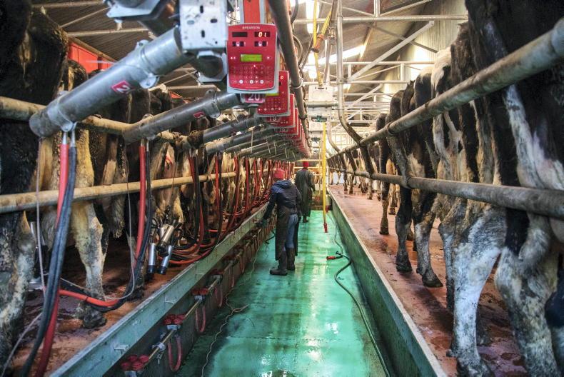 Early evening milking to finish at a reasonable hour Early evening milking to finish at a reasonable hour