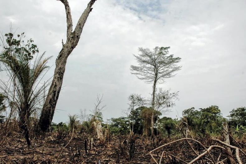 Agriculture must work for the plates and the planet Agriculture must work for the plates and the planet