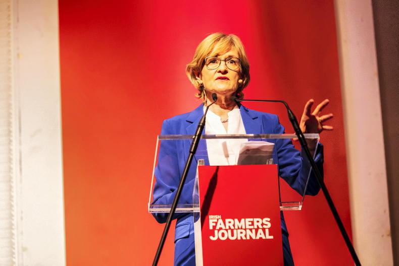 Dairy farmers should not be vilified for expanding - McGuinness Dairy farmers should not be vilified for expanding - McGuinness