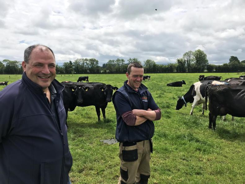 Dairy management: the argument for zero nitrogen on clover paddocks Dairy management: the argument for zero nitrogen on clover paddocks