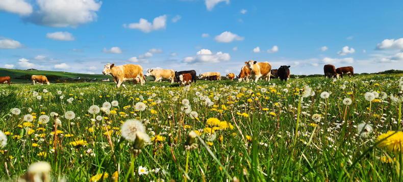 Farmers need to focus on economic and environmental sustainability Farmers need to focus on economic and environmental sustainability