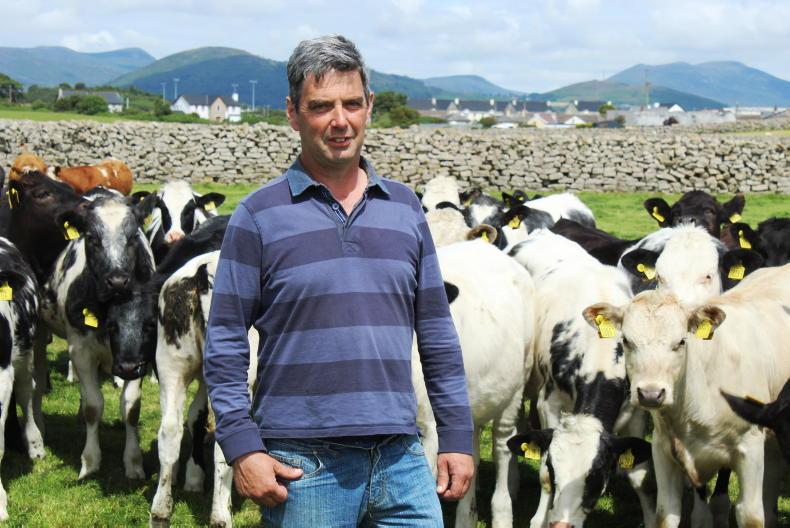 My Farming Week: James Henderson, Kilkeel, Co Down My Farming Week: James Henderson, Kilkeel, Co Down
