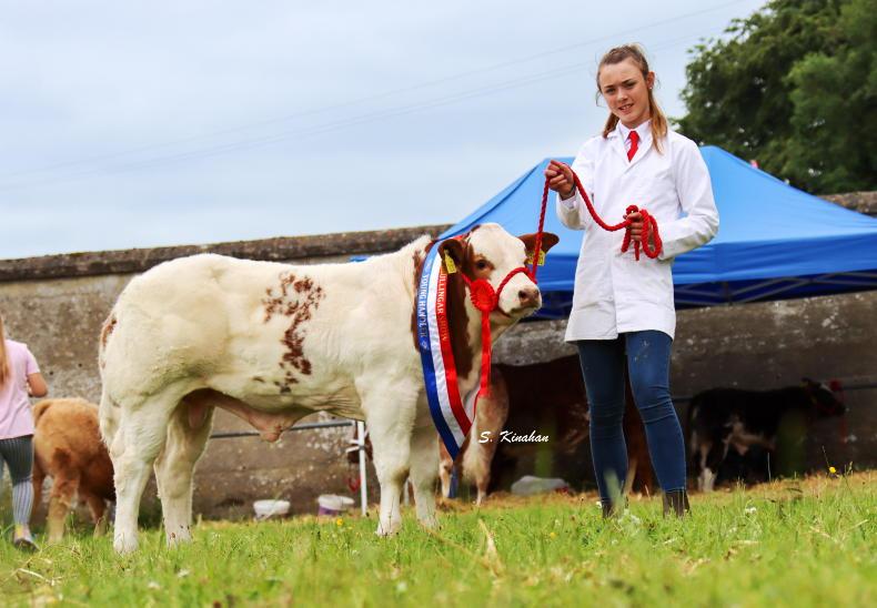 Record entry for Tullamore FBD National Livestock Show Record entry for Tullamore FBD National Livestock Show