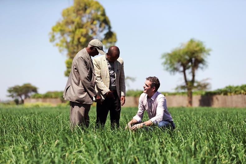 Farmers must be the solution to Africa's food crisis - Free
