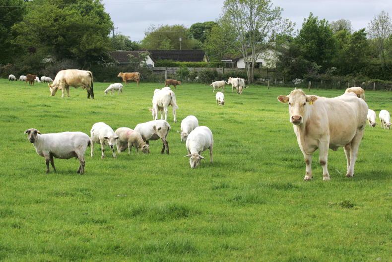 Simplifying grassland management with mixed grazing
Simplifying grassland management with mixed grazing