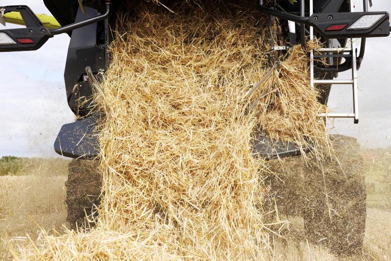 Tillage podcast: Harvest in full swing as minister calls for more tillage Tillage podcast: Harvest in full swing as minister calls for more tillage