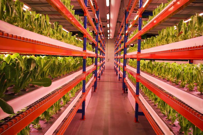 Sectoral target debate heats up with the weather Sectoral target debate heats up with the weather