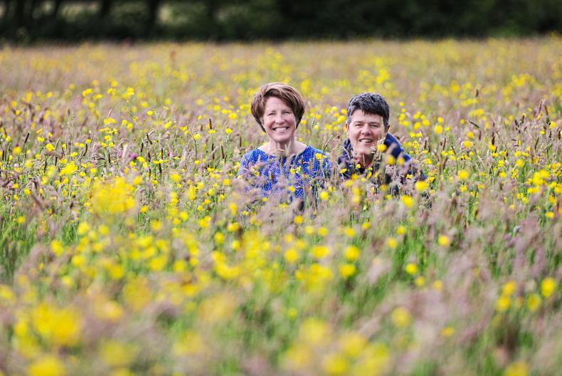 Four festivals taking place this weekend Four festivals taking place this weekend