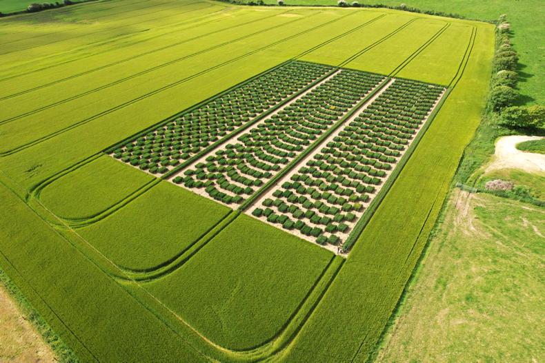 Plant breeding – the ‘master key’ for the future of crop production Plant breeding – the ‘master key’ for the future of crop production