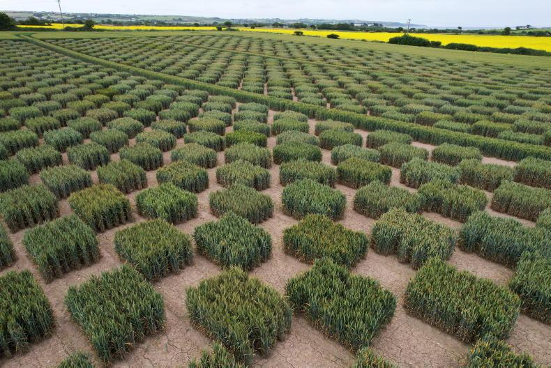 Plant breeding – the ‘master key’ for the future of crop production Plant breeding – the ‘master key’ for the future of crop production