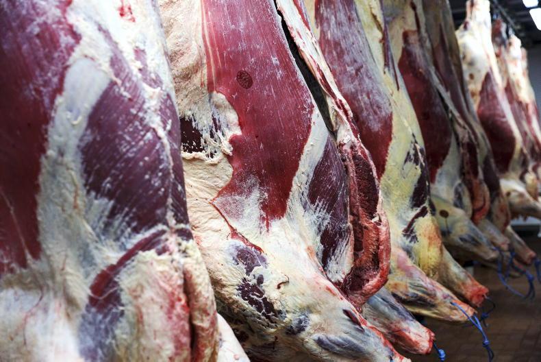 Beef trade more positive Beef trade more positive