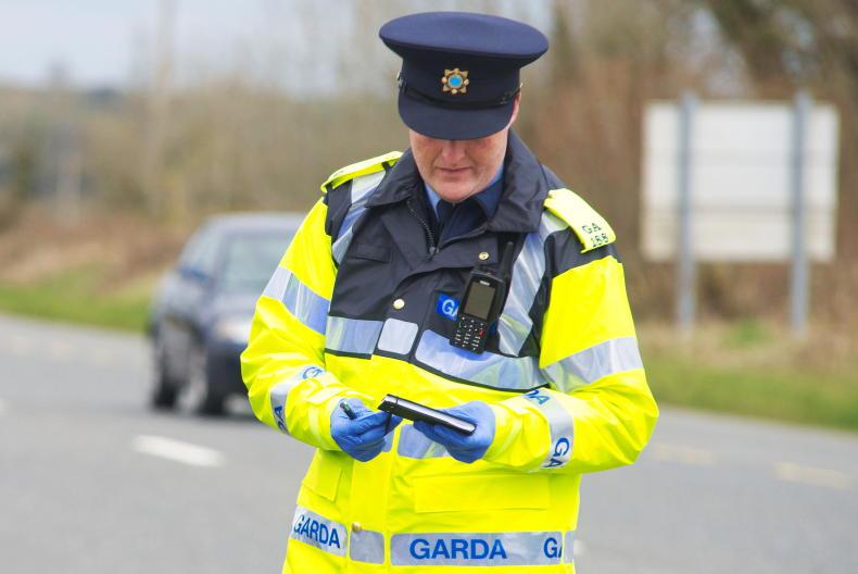 Teenagers partying on lands of ‘tormented’ Limerick farmer Teenagers partying on lands of ‘tormented’ Limerick farmer