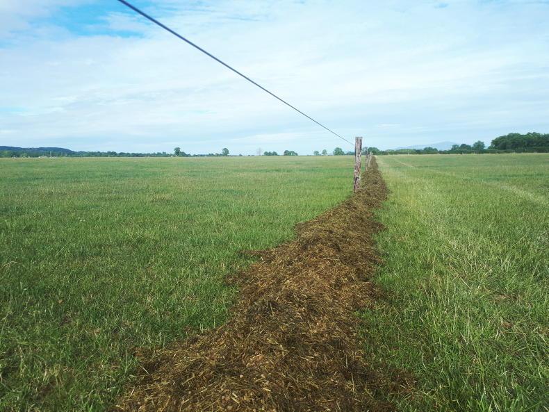 Dairy management: preparing for the heatwave Dairy management: preparing for the heatwave