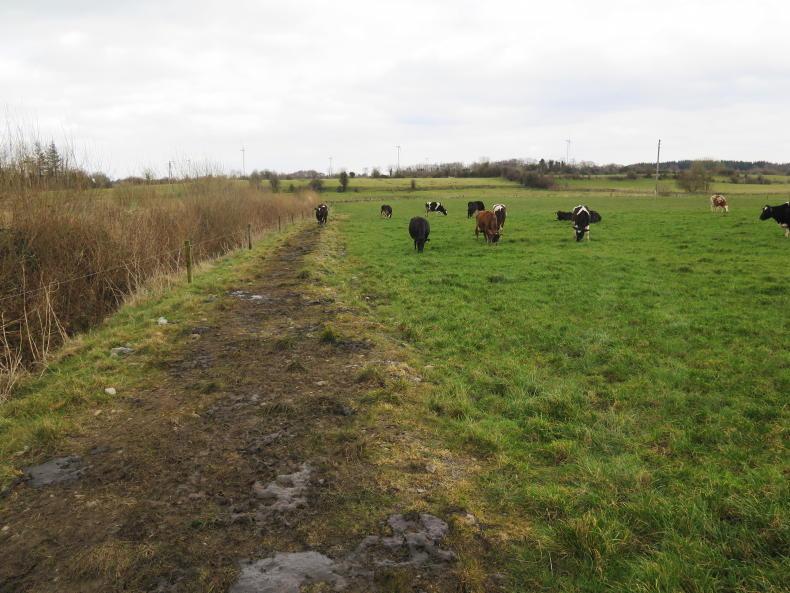 Install spur roads when it’s dry to graze when it’s wet Install spur roads when it’s dry to graze when it’s wet