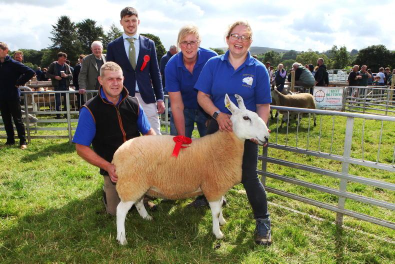 NI shows complete first year since COVID NI shows complete first year since COVID