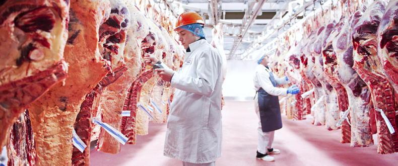 Drop in Irish beef prices a ‘mystery’ compared with EU prices – ICMSA Drop in Irish beef prices a ‘mystery’ compared with EU prices – ICMSA