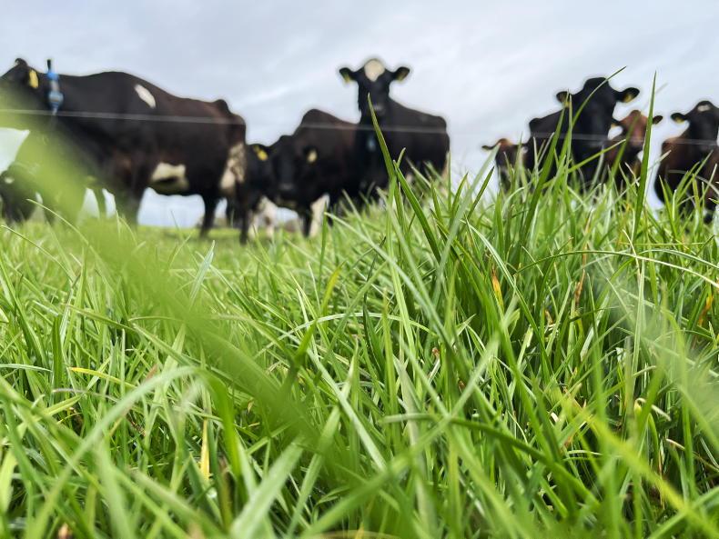 Glanbia moves on July milk price Glanbia moves on July milk price