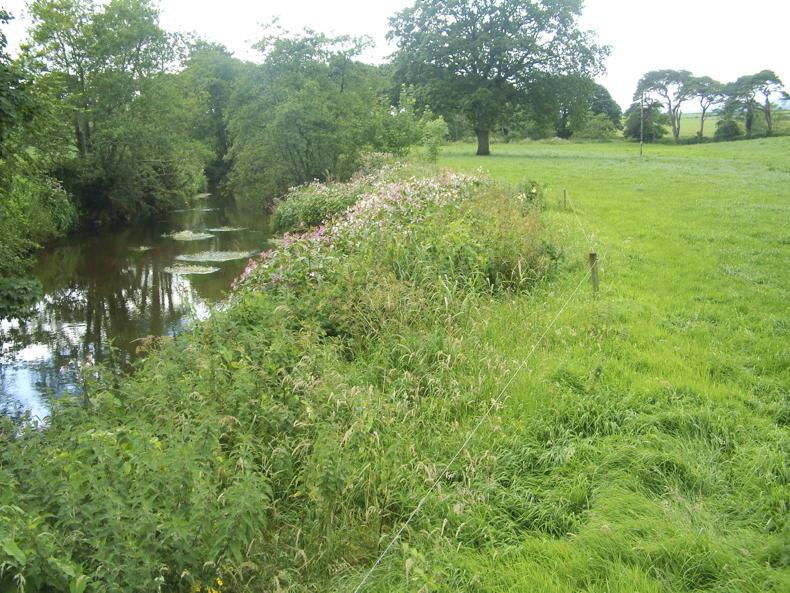 Challenges and opportunities for sustainability on Irish farms Challenges and opportunities for sustainability on Irish farms