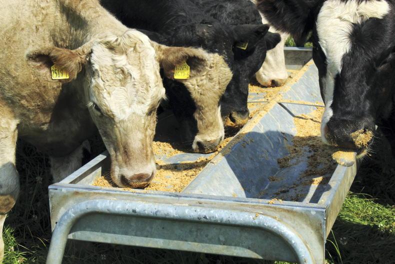 Costs for NI farms surge by £500m Costs for NI farms surge by £500m