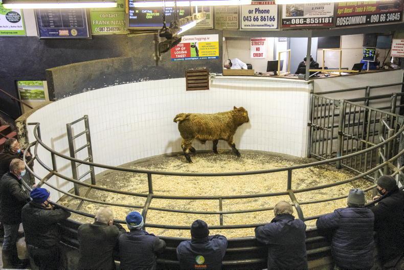 New manager for Roscommon Mart New manager for Roscommon Mart