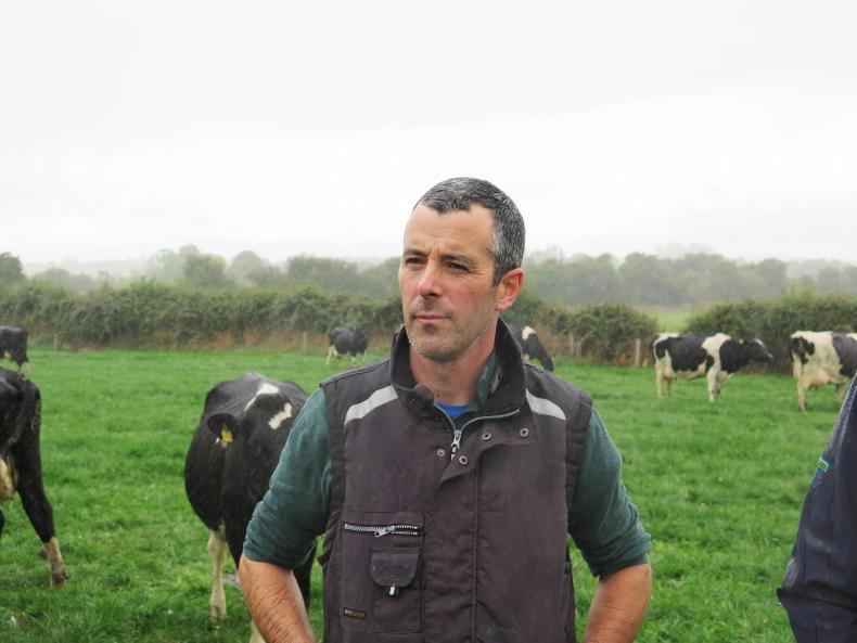 Grass+ dairy: rain will be welcome but response will be slow Grass+ dairy: rain will be welcome but response will be slow