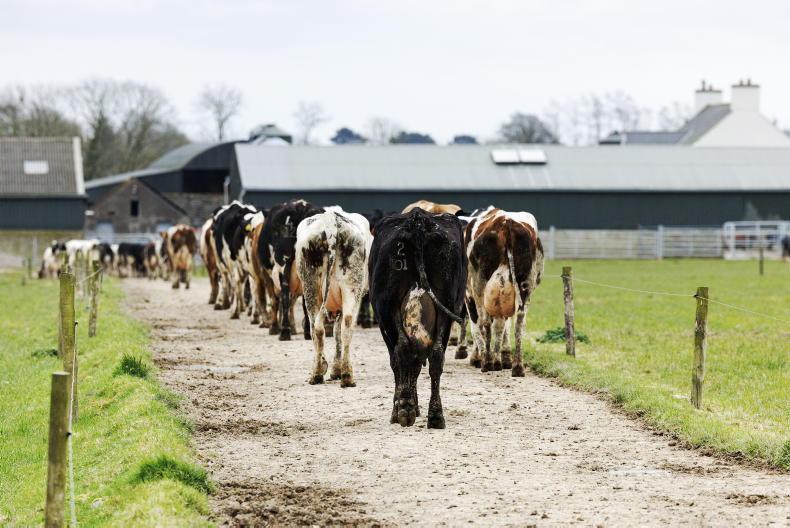 Govt has 'double standards' on data centres and dairy - ICMSA Govt has 'double standards' on data centres and dairy - ICMSA