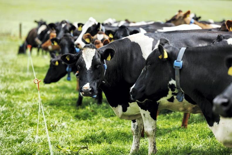 Less income tax, more ACRES places needed in Budget 2023 – ICMSA Less income tax, more ACRES places needed in Budget 2023 – ICMSA