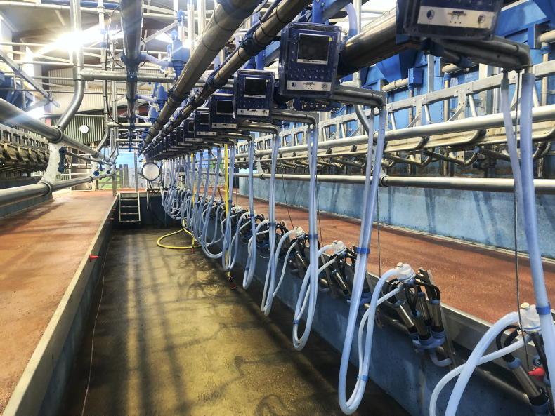 Rabobank downgrades Dutch dairy loan book Rabobank downgrades Dutch dairy loan book