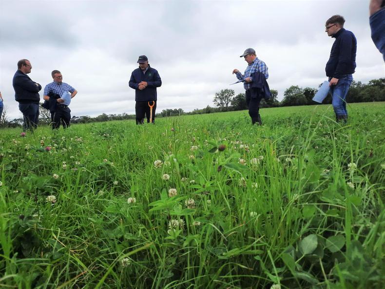 Farms green up but no bounce in growth yet Farms green up but no bounce in growth yet