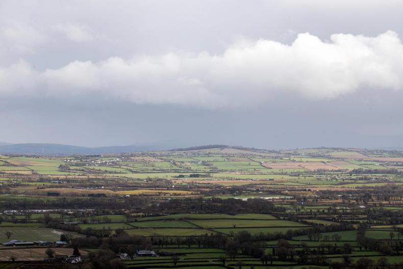 Department investigating discovery of dead calves in Co Limerick Department investigating discovery of dead calves in Co Limerick