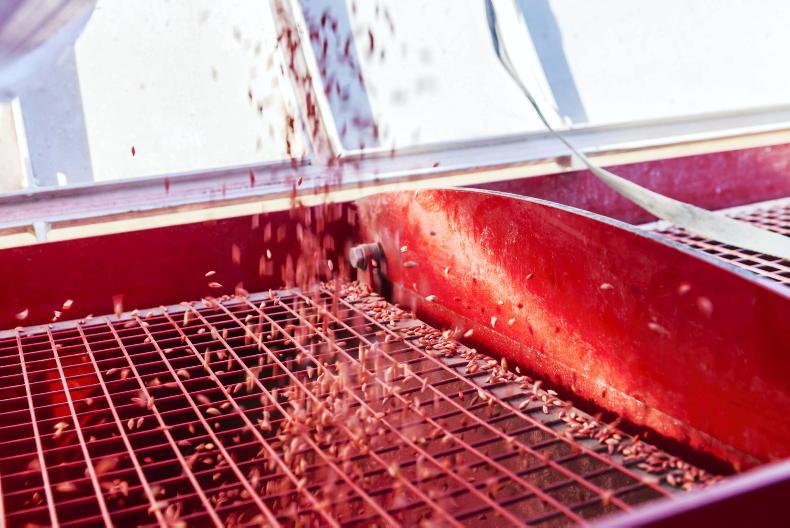 Harvest lingers while oilseed rape planting continues Harvest lingers while oilseed rape planting continues