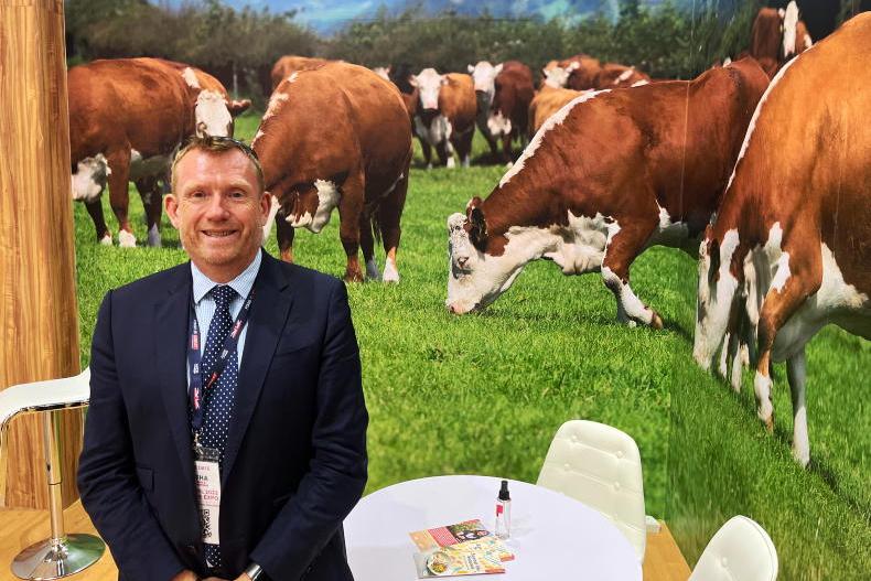 British meat exporters to follow Ireland’s green messaging British meat exporters to follow Ireland’s green messaging