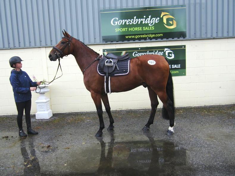 Four-year-old sales smash last year's record-breaking clearance at Goresbridge Four-year-old sales smash last year's record-breaking clearance at Goresbridge