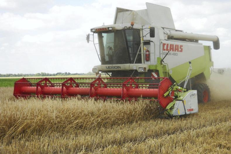 France to support export of Ukrainian grain France to support export of Ukrainian grain