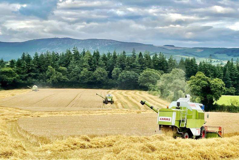 Average farm incomes hit €34,700 last year Average farm incomes hit €34,700 last year