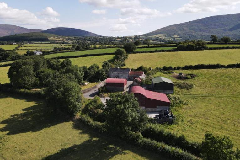 Two farms on the market in Carlow Free
