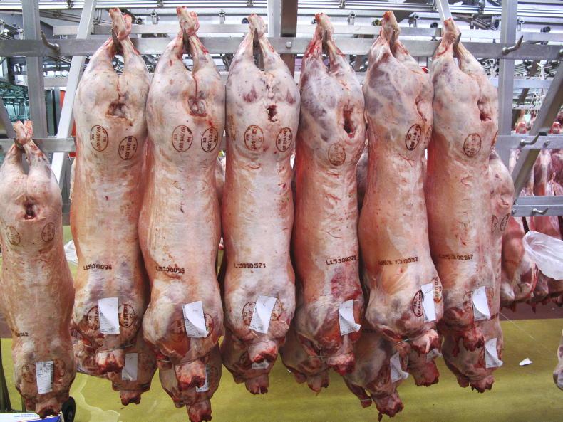 Sheep price update: base lamb quotes slip to €6/kg Sheep price update: base lamb quotes slip to €6/kg
