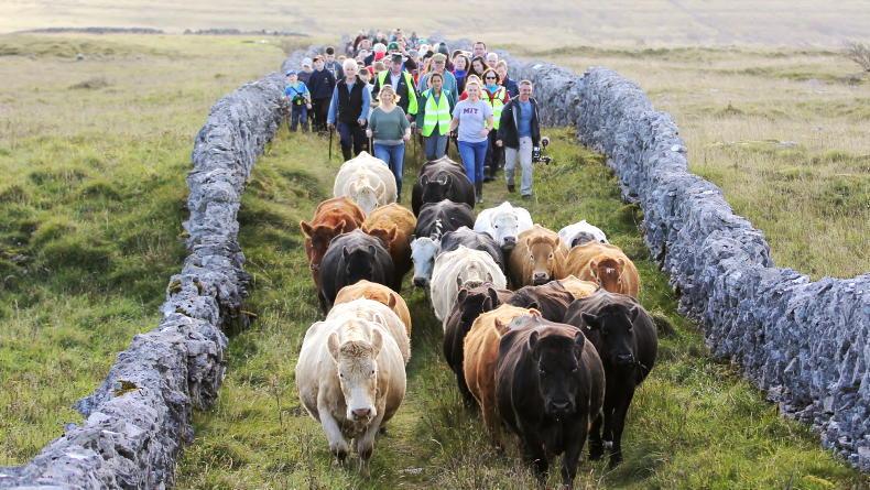 Burren ‘Winterage’ festival to take place last week of October Burren ‘Winterage’ festival to take place last week of October