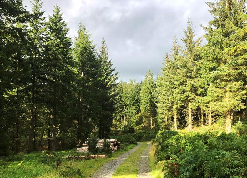 Payments to farmers for forestry public goods Payments to farmers for forestry public goods